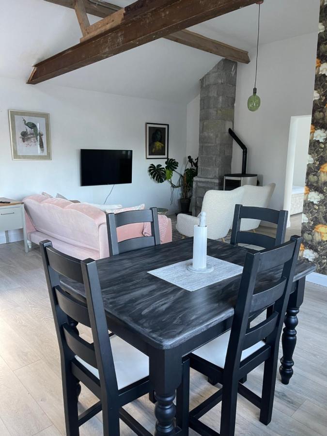 Cosy Apartment With Fire Stove آثلون المظهر الخارجي الصورة